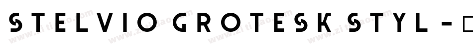 Stelvio Grotesk Styl字体转换